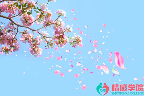 女朋友要分手怎么办？